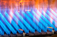 Capel Tygwydd gas fired boilers